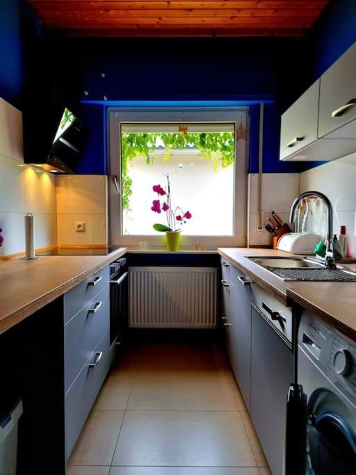 Apartmán Eine Oase Bei Tara In Waldacker Rödermark Exteriér fotografie